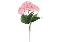 Букет Гортензії (5 гілок) розовий 46см