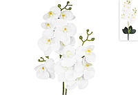 Орхідея латексна 50см біла