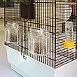Клітка для канарок попуг і маленьких екзотичних птахів Ferplast CANTO 71 х 38 х в 60,5 см, фото 6