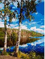 Картины по номерам березы Рисование по номерам Пейзаж 40х50 см Картина по номерам у реки Rainbow Art GX27421