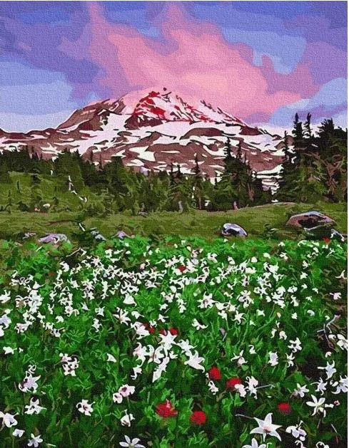 Картини за номерами гірські пейзажі Картина Малювання по номерах Долина квітів 40х50 Живопис на полотні фарбами Rainbow Art, фото 1