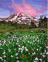 Картины по номерам горные пейзажи Картина рисовать по номерам Цветочная долина 40х50 Живопись на холст Rainbow