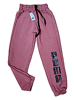 Спортивные трикотажные штаны для девочек (3-7 лет) D37-8 (в уп. один цвет) весна-осень. пр-во Украина.