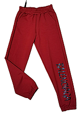 Спортивні трикотажні штани для дівчаток (3-7 рокiв) D37-10 (в уп. один колiр) весна-осінь. вир-во Україна.