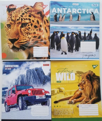 Зошит 48 аркушів Лінійка (кольорова обкладинка). ТВ-43