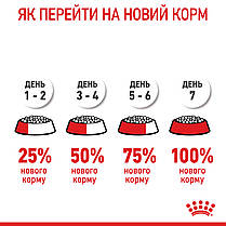 Сухий корм для цуценят ROYAL CANIN GIANT PUPPY для гігантських порід 15 кг, фото 3
