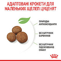 Сухий корм для цуценят ROYAL CANIN GIANT PUPPY для гігантських порід 15 кг, фото 5