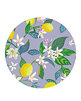 Картина по номерам круглая "Цвет лимона" 30 см