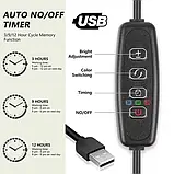 Фітолампа для домашніх рослин світлодіодна з таймером гнучка LED Supretto 50вт 4 промені, фото 2