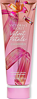 Victoria's Secret Velvet Petals Candied парфумований лосьйон для тіла (оригінал оригінал США)