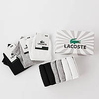 Набір чоловічих шкарпеток Lacoste 6 пар, короткі шкарпетки Лакоста в подарунковій коробці бавовна (41-46)