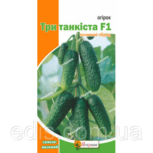 Огірок Три танкіста F1 (букетний, самозапильний) F1 0,3 г, насіння Яскрава