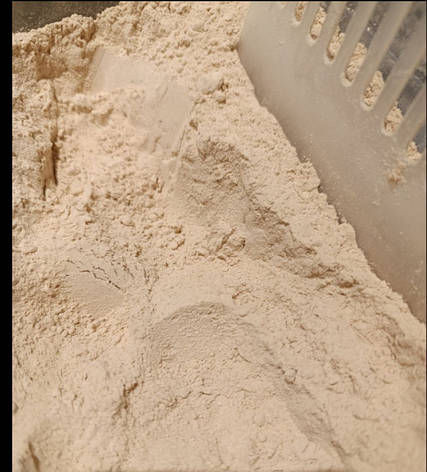 Їжовик міцелій  гриб сушений мелений 100 гр, фото 1