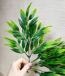 Букет бамбука (7 гілок), фото 2