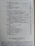 Гегель Гестетика. У чотирьох (4-х) томах. Б/у., фото 8