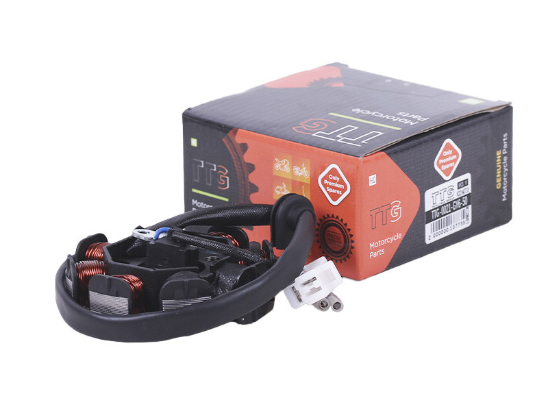 Якір генератора (6+2) - 50CC4T - TTG, фото 1