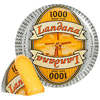 Сыр гауда Landana 1000 Дней 48%, 12кг
