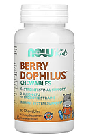 NOW Foods, Berry Dophilus, для детей, 2 млрд КОЕ, 60 жевательных таблеток