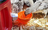 Поїлка для птахів із гвинтом, чашкова поїлка (курки, качки, гуси, індички, перепели, фазани тощо), фото 3