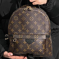Louis Vuitton Palm Springs Backpack Brown/Black женские сумочки и клатчи хорошее качество