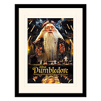 Постер у рамі "Harry Potter (Dumbledore)" 30 x 40 см