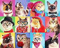 Картина по номерам веселые котики Картины по цифрам животные 40х50 Роспись по номерам на холсте Rainbow Art