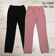 Спортивные штаны для девочек оптом, Sincere, 134-164 см, № CJ-1909