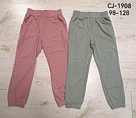 Спортивные штаны для девочек оптом, Sincere, 98-128 см, № CJ-1908