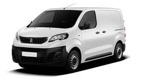 Expert 3 (2016-2023)