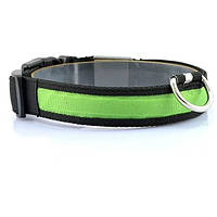 Светящийся ошейник светодиодный USB нейлоновый для собак М 50 см Зеленый