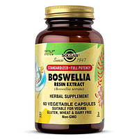 Натуральная добавка Solgar SFP Boswellia Resin Extract, 60 вегакапсул CN6044 SP