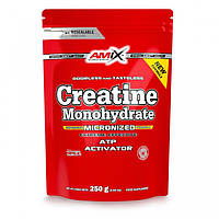 Креатин Amix Nutrition Creatine monohydrate ПАКЕТ, 250 грамм CN12681 SP