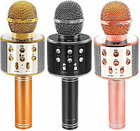 Мікрофон портативний караоке з динаміком Wster WS 858