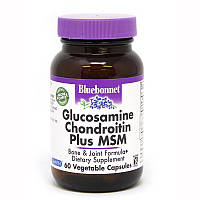 Препарат для суглобів та зв'язок Bluebonnet Glucosamine Chondroitin plus MSM, 60 вегакапсул CN5130 SP