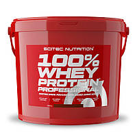 Протеин Scitec 100% Whey Protein Professional, 5 кг Ваниль CN729-2 SP