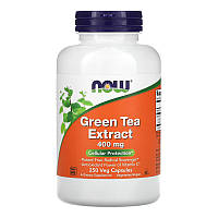 Экстракт зеленого чая NOW Green Tea Extract 400 mg (250 вега-капс)