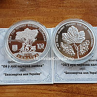 Монета НБУ Ой у Лузі Червона Калина 10 грн срібло