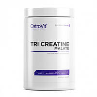 Креатин OstroVit Tri Creatine Malate, 500 грамм Без вкуса CN1957-1 SP
