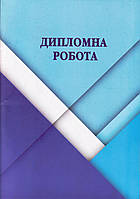 Дипломна робота 101 аркуш