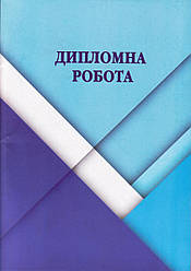 Дипломна робота 101 аркуш