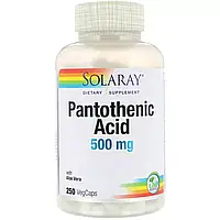 Пантотеновая кислота, Pantothenic Acid, Solaray, 500 мг, 250 растительных капсул
