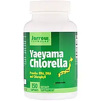 Хлорелла, Yaeyama Chlorella, Jarrow Formulas, 150 капсул