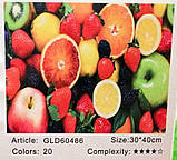 Набір для творчості алмазна вишивка картина мозаїка фрукти 30*40 см 60486_BGLD полотно на рамі, фото 2