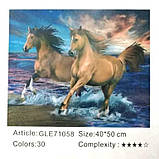 Набір для творчості алмазна вишивка картина мозаїка коні 40*50 см 71058_BGLE полотно на рамі, фото 2