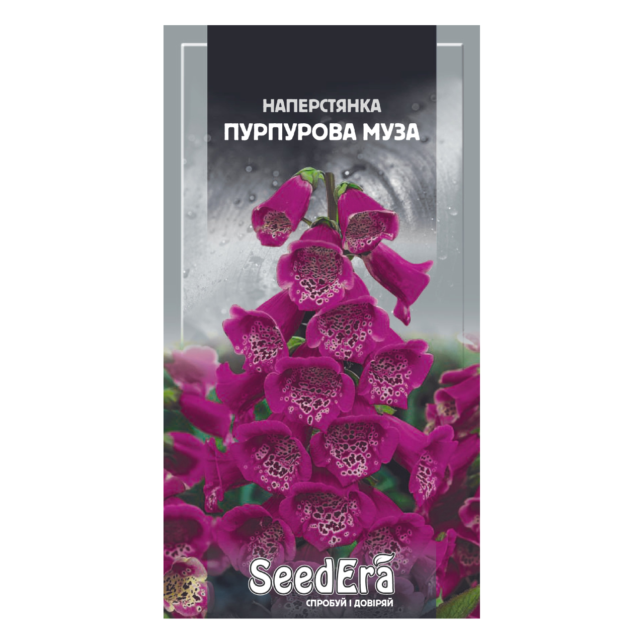 Насіння Наперстянка Пурпурова Муза 0,1 г багаторічна, фото 1