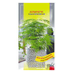 Насіння Аспарагус декоративний пухнастоперистий 0,1 г багаторічник