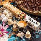 Nesso® капсули Belmio Viva la Vanilla (ванільна з кремовими нотами), фото 3