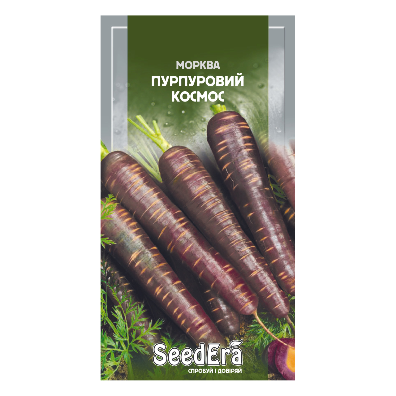 Насіння Морква столова Пурпурний космос Sеdera 100 шт, фото 1