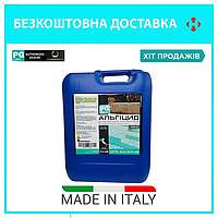 Альгіцид для басейну BluDELUX PG-50 Проти водоростей та зелені у басейні 10 літрів. Barchemicals, Італія