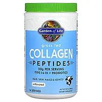 Порошок коллагеновых пептидов, Grass Fed Collagen Peptides, Garden of Life, 280 гр